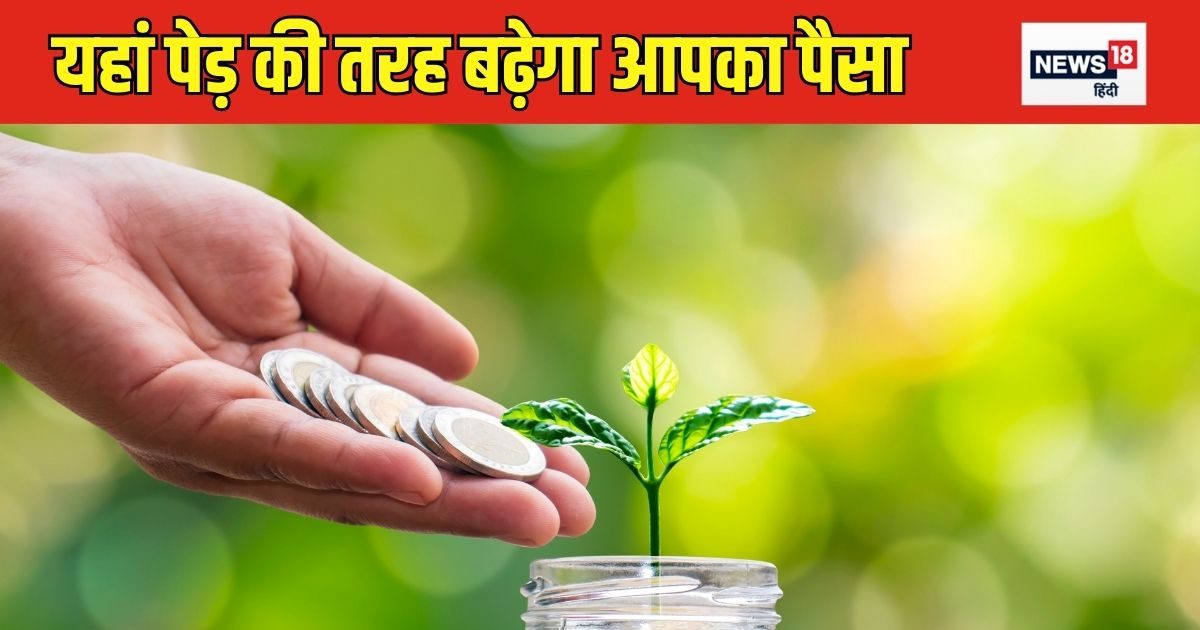 If you want to make money from auto and real estate sector, then there is a chance till 28 November, you can get tremendous returns